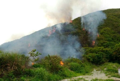 森林火災造成人民生命財產及森林資源的損失，林管處鼓勵民眾響應環保掃墓避免用火，以降低火災發生的危險 (1)
